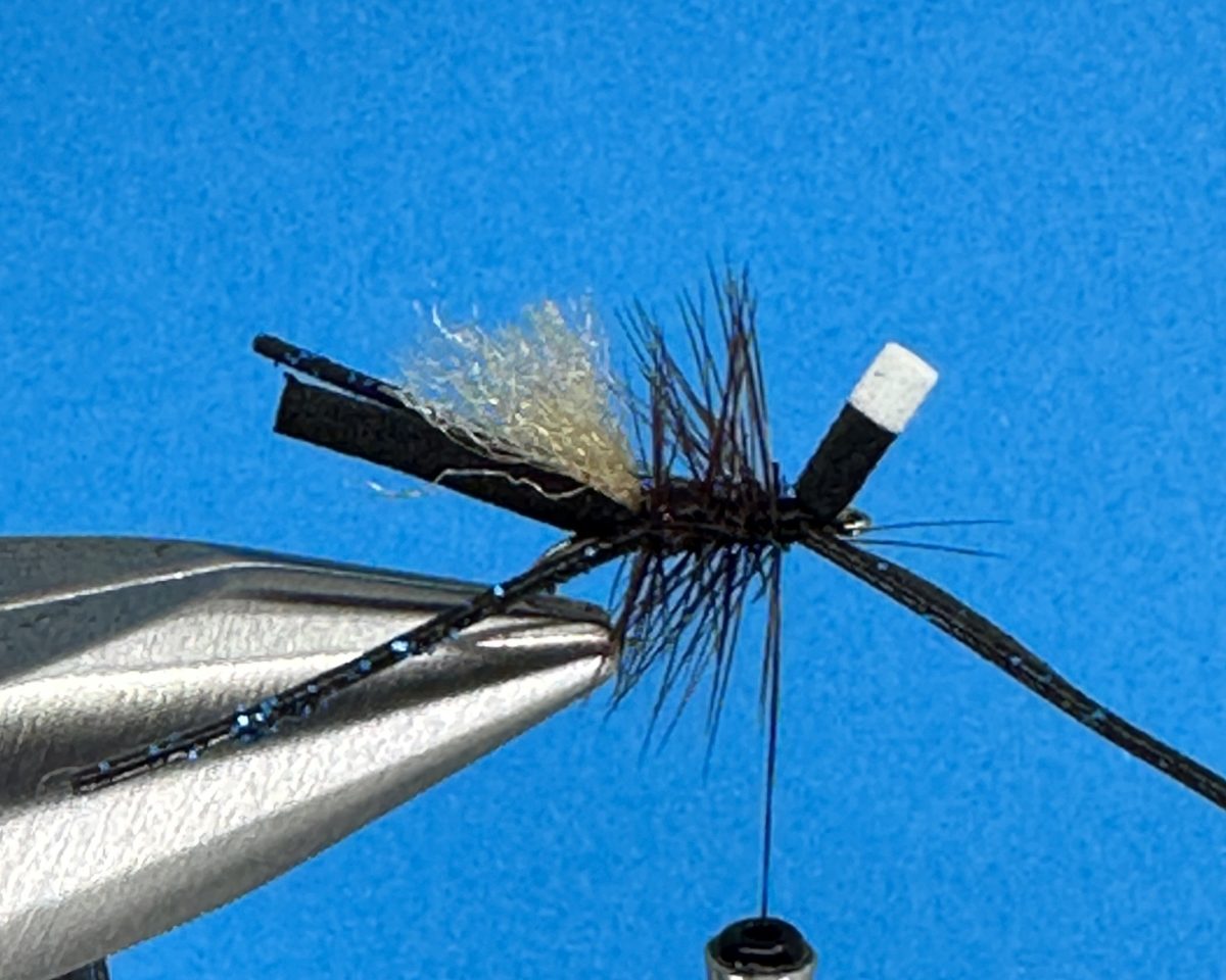 Bionic Ant Fly Step-by-Step