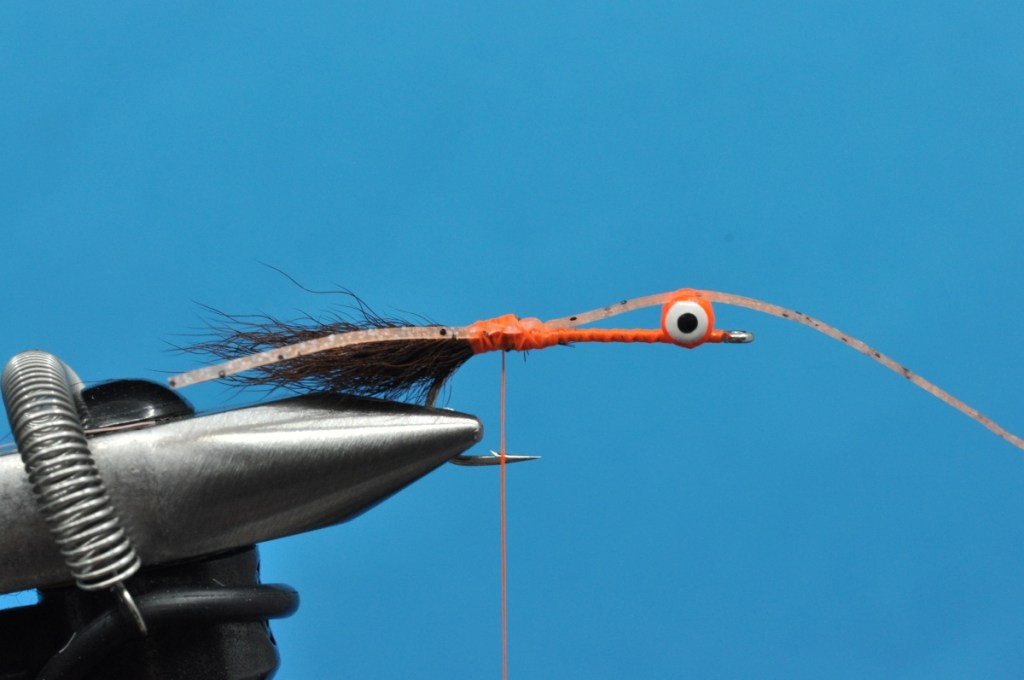 Lucky Penny Crab Step-by-Step